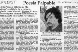 Poesía palpable  [artículo]