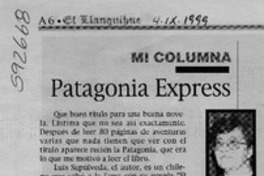 Patagonia Express  [artículo] Antonieta Rodríguez París
