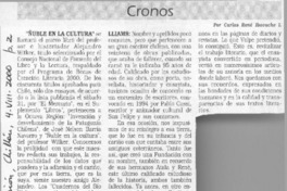 Ñuble en la cultura