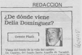 ¿De dónde viene Delia Domínguez? ¿De dónde viene Delia Domínguez?
