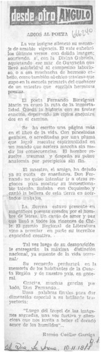 Adiós al poeta