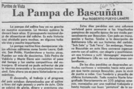 La pampa de Bascuñán La pampa de Bascuñán