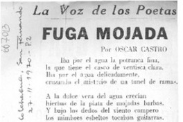 Fuga mojada Fuga mojada