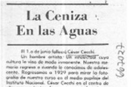El ceniza en las aguas  [artículo] Sergio Montecino.