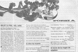 Bajo la piel del aire