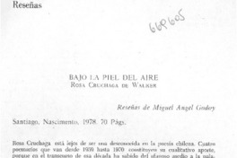 Bajo la piel de aire. Bajo la piel de aire.