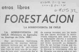 Forestación.