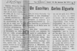 Un escritor, Carlos Elgueta. Un escritor, Carlos Elgueta.