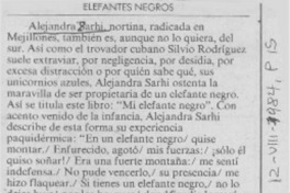 Elefantes negros Elefantes negros