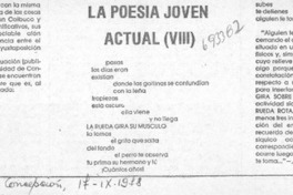 La poesía joven actual (VIII) La poesía joven actual (VIII)