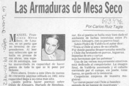 Las armaduras de Mesa Seco Las armaduras de Mesa Seco