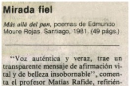 Mirada fiel Mirada fiel