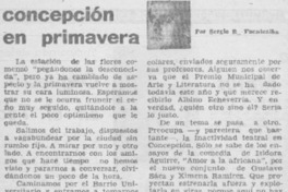 Concepción en primavera Concepción en primavera