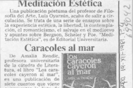 Caracoles al mar.