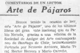 Arte de pájaros Arte de pájaros