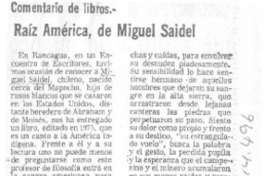 Raíz América, de Miguel Saidel Raíz América, de Miguel Saidel
