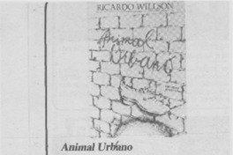 Animal urbano Animal urbano
