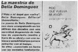 La maestría de Delia Domínguez. La maestría de Delia Domínguez.