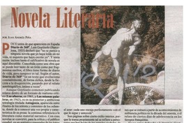 Novela literaria