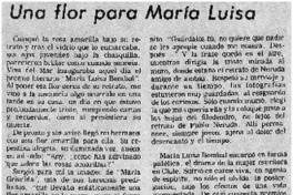 Una flor para María Luisa Una flor para María Luisa