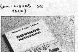 Ganado Hereford. Ganado Hereford.