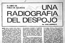 Una Radiografia del despojo