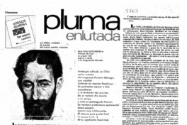 Pluma enlutada.