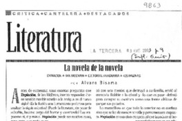 La novela de la novela La novela de la novela