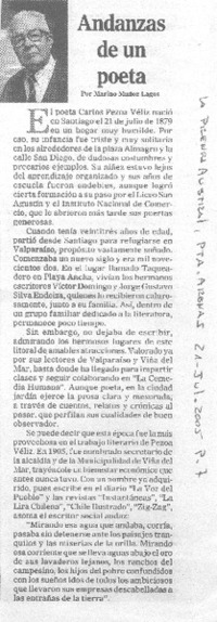 Andanzas de un poeta.