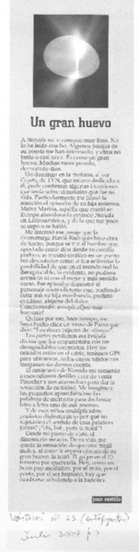 Un gran huevo