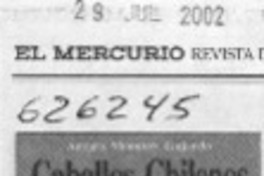 Historia del caballo  [artículo]