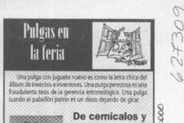 De cernícalos y otras plumas  [artículo]