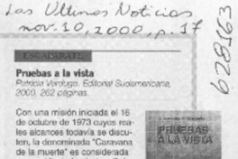 Pruebas a la vista  [artículo] A. R.
