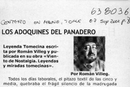 Los adoquines del panadero  [artículo] Román Villeg