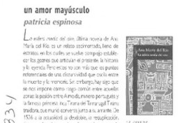 Un amor mayúsculo Un amor mayúsculo