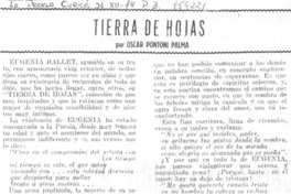 Tierra de hojas Tierra de hojas