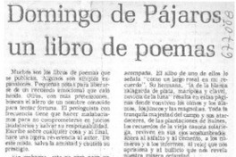 Domingo de pájaros: un libro de poemas Domingo de pájaros: un libro de poemas