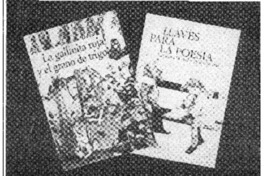 Premio internacional para libros chilenos. Premio internacional para libros chilenos.