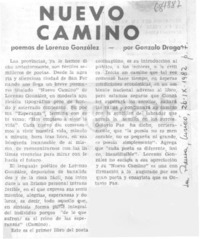 Nuevo camino Nuevo camino
