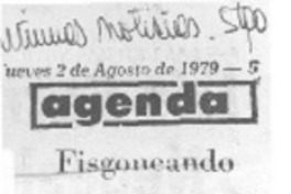 Fisgoneando