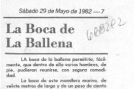 La boca de la ballena La boca de la ballena