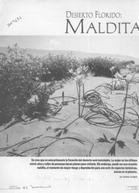 Desierto florido, maldita primavera  [artículo] Ximena Urrejola.