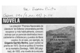Novela  [artículo] Rodrigo Pinto.