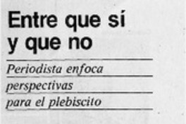Entre que sí y que no  [artículo].