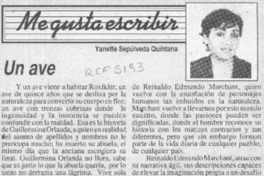 Un ave  [artículo] Yanette Sepúlveda Quintana.