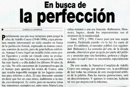 En busca de la perfección En busca de la perfección