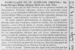 Patrullajes en el altiplano chileno.