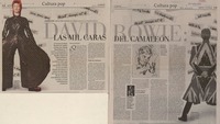 David, las mil caras  [artículo] Camila Ortiz Miranda.