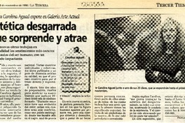 Estética desgarrada que sorprende y atrae  [artículo] Pamela Correa P.