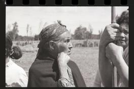 Mapuches